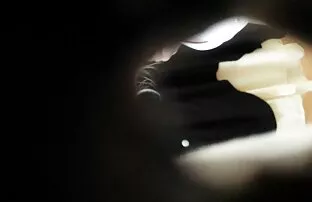 XXX ბიჭი ქანების მისი ქერა თმა. პორნო ვარსკვლავი, სექსაობა