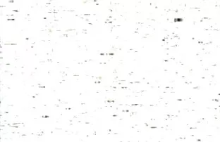 XXX სამი ერთად, ერირიკა კატაგირი ანალური,