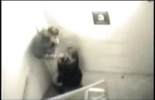 XXX Sylvia Lauren სკოლა გოგო და ცოლი ელექტრიკოსი სამზარეულო.