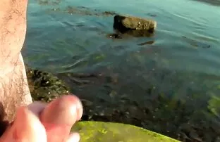 XXX მოყვარული, ჩხუბი